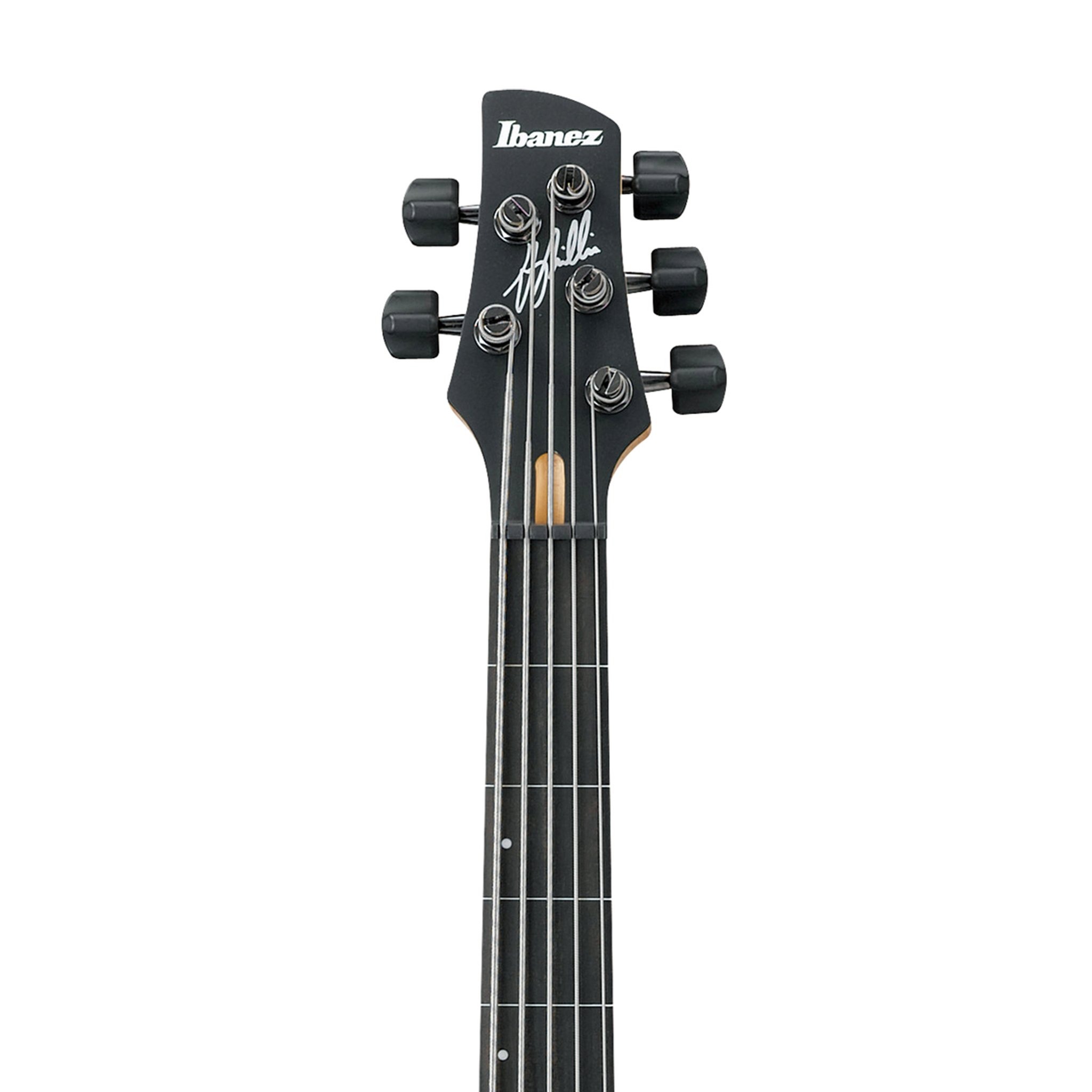 ibanez gwb 205